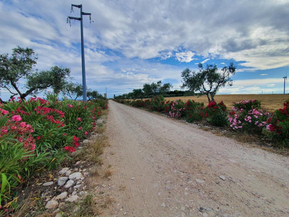 Tenuta Viale Degli Ulivi San Martino in Pensilis Exteriör bild