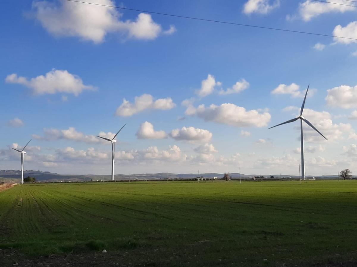 Tenuta Viale Degli Ulivi San Martino in Pensilis Exteriör bild