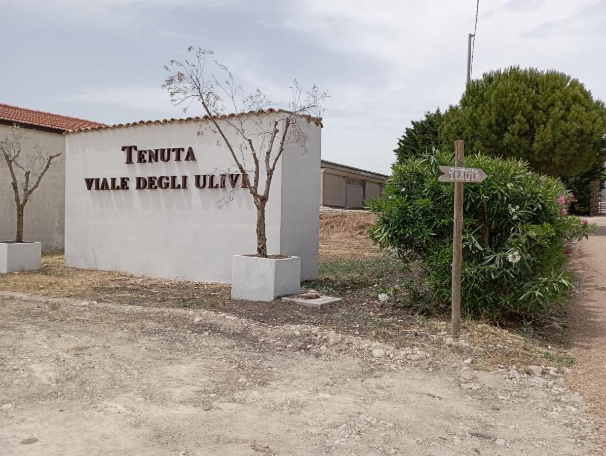 Tenuta Viale Degli Ulivi San Martino in Pensilis Exteriör bild