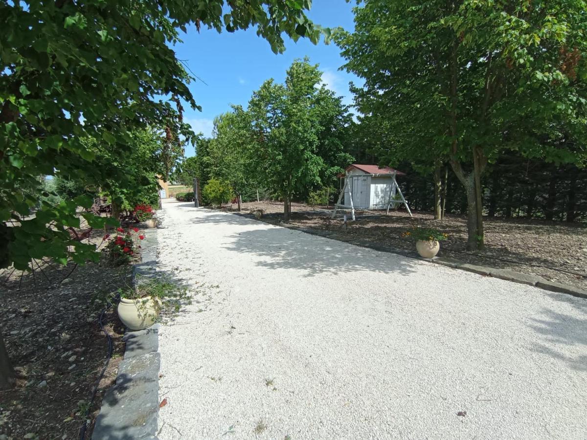 Tenuta Viale Degli Ulivi San Martino in Pensilis Exteriör bild