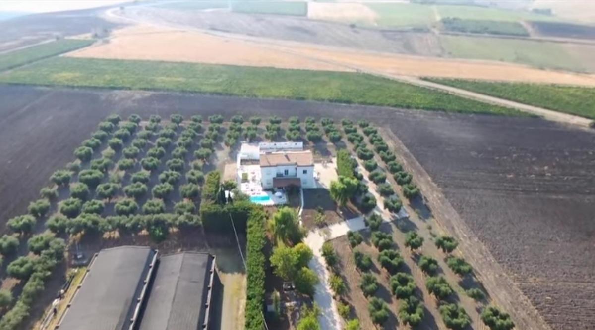 Tenuta Viale Degli Ulivi San Martino in Pensilis Exteriör bild