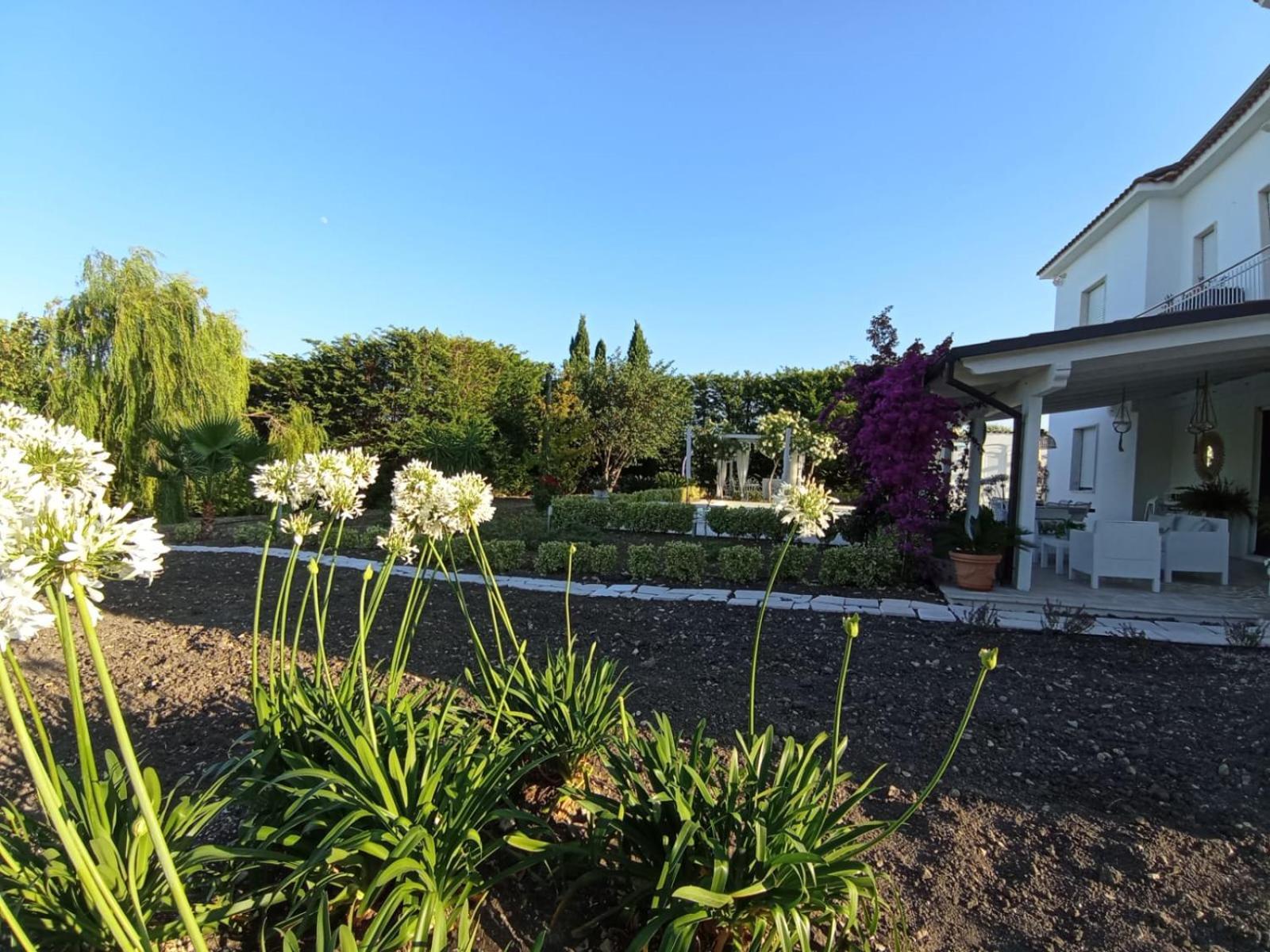 Tenuta Viale Degli Ulivi San Martino in Pensilis Exteriör bild
