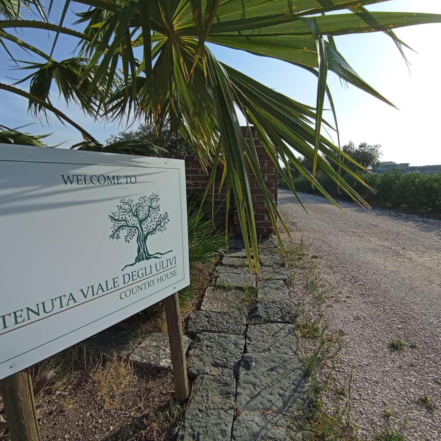 Tenuta Viale Degli Ulivi San Martino in Pensilis Exteriör bild