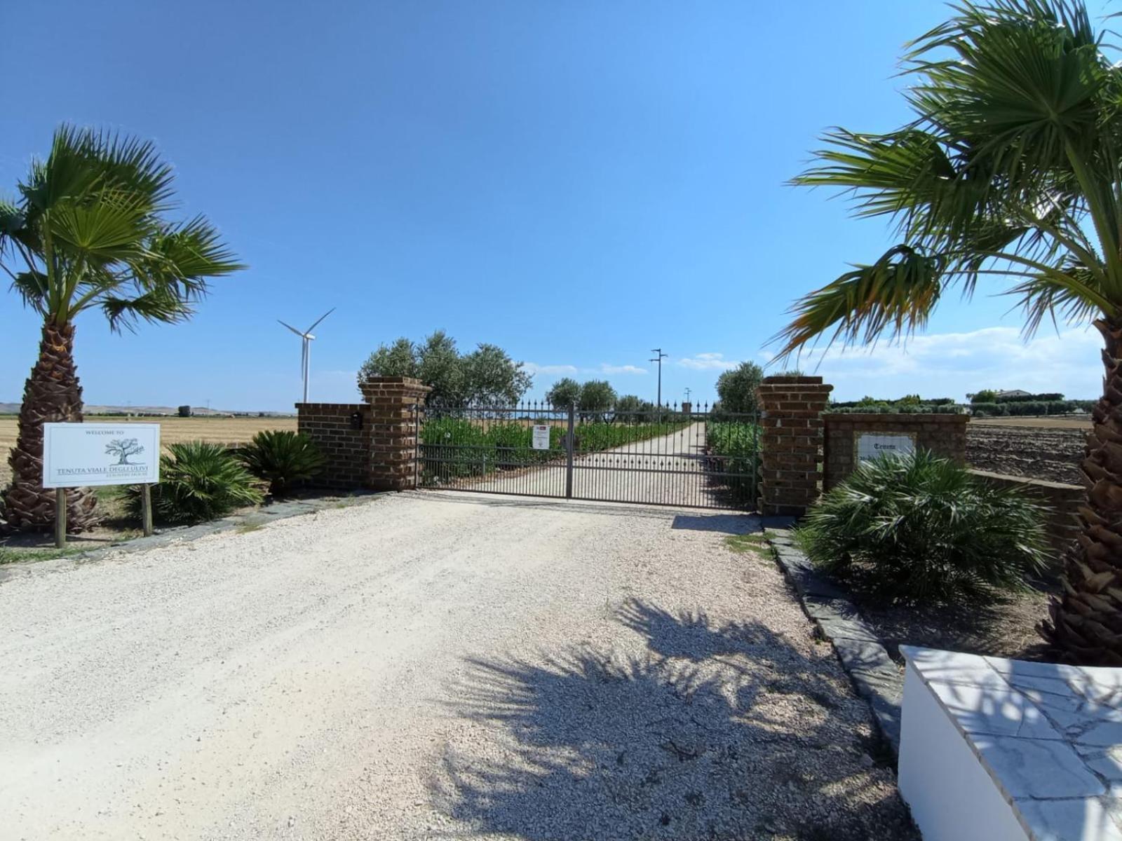 Tenuta Viale Degli Ulivi San Martino in Pensilis Exteriör bild
