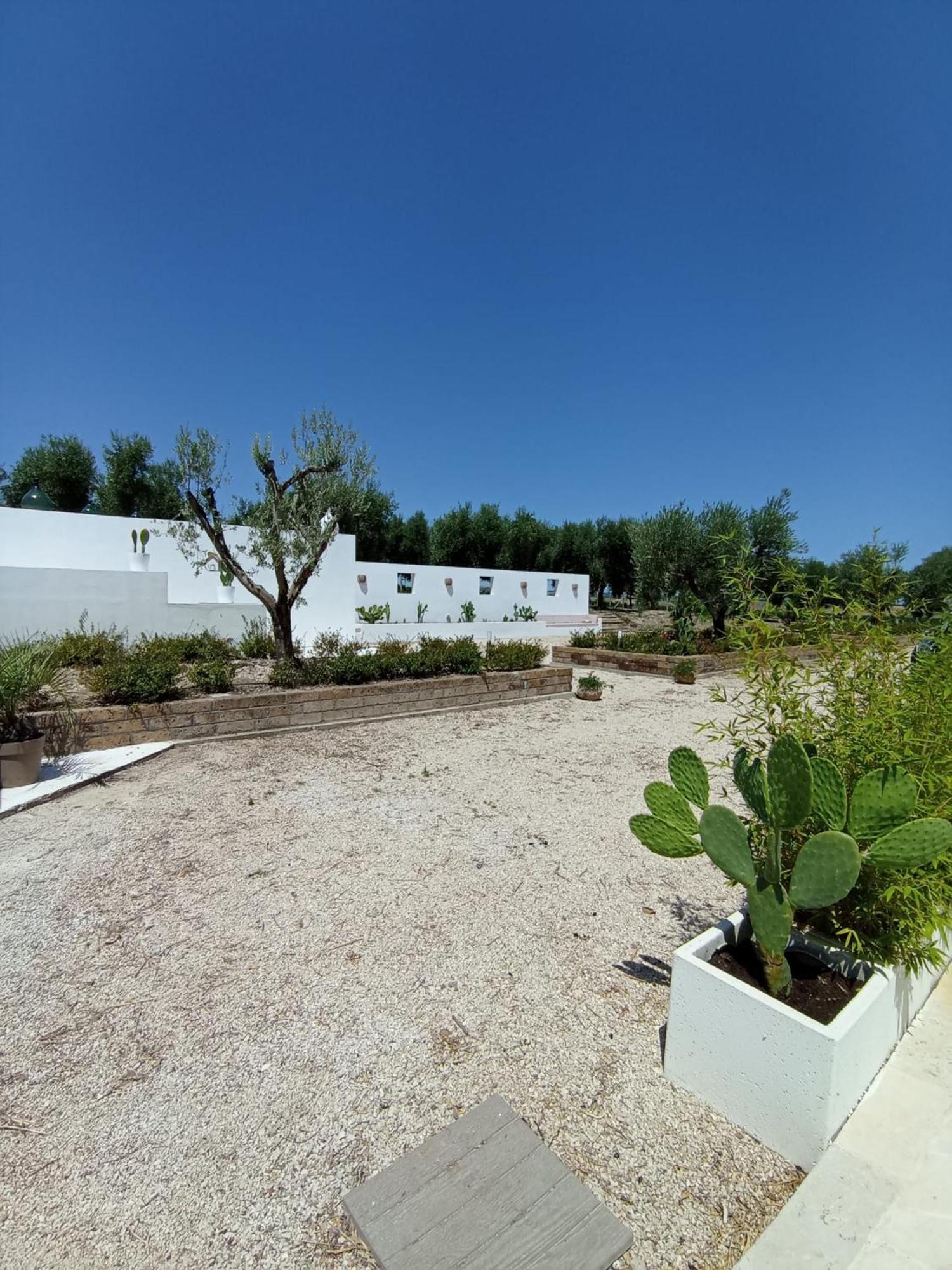 Tenuta Viale Degli Ulivi San Martino in Pensilis Exteriör bild