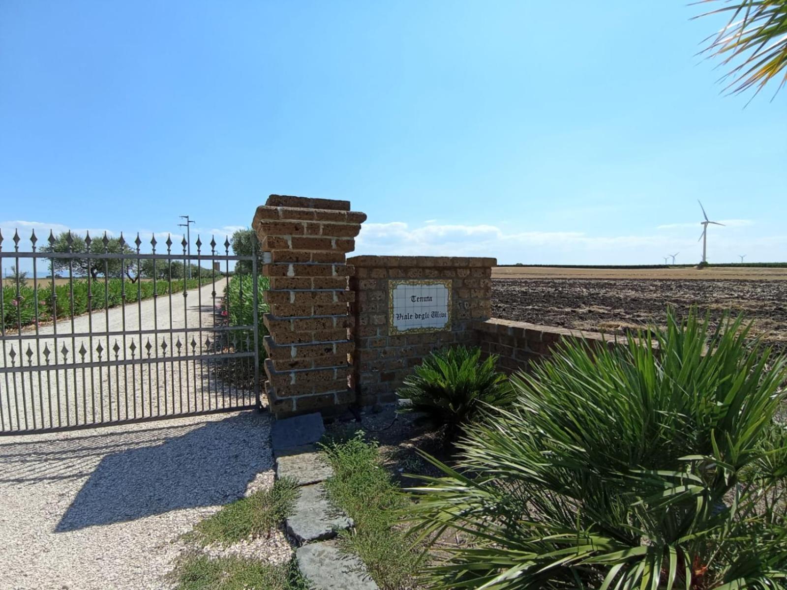 Tenuta Viale Degli Ulivi San Martino in Pensilis Exteriör bild