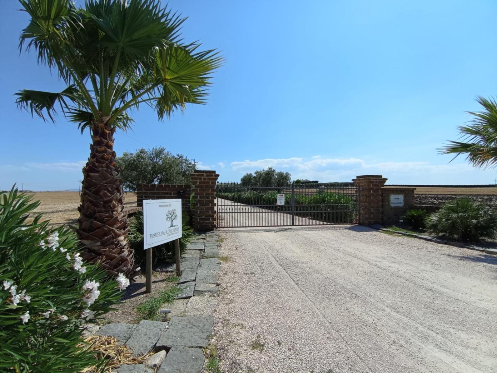 Tenuta Viale Degli Ulivi San Martino in Pensilis Exteriör bild